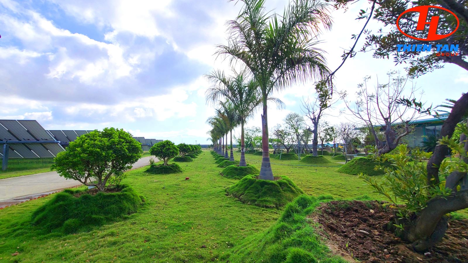 Green landscape view